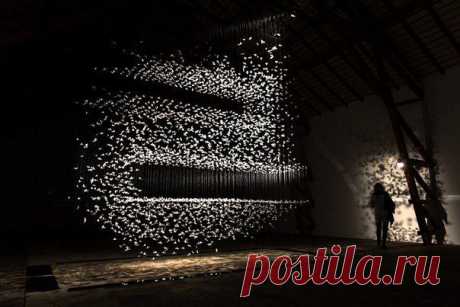 Удивительные инсталляции из перьев от Исы Барбье (Isa Barbier) / Удивительное искусство