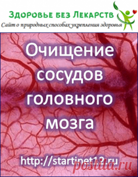 Очищение сосудов головного мозга. Улучшение памяти.