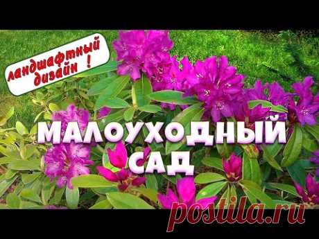 Малоуходный сад, цветущие рододендроны и советы ландшафтного дизайнера 🌺🌺🌺 8 соток💥