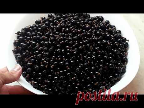 Смородина перетёртая с сахаром.(Заготовки на зиму).