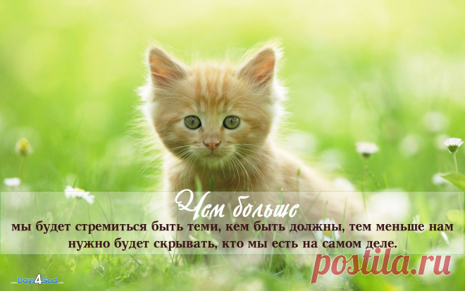 Все тайное станет явным
