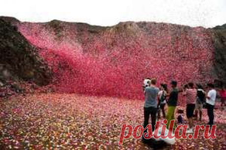 В Коста–Рике прошёл дождь состоящий из 3,5 тонн цветочных лепестков.