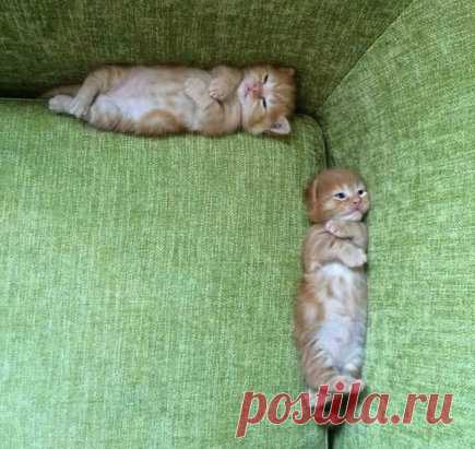 Когда поругались, и не хотите разговаривать друг с другом