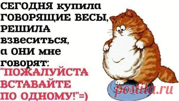 Не ждите понедельника, удачного момента или особого настроения. Пусть ваше первое действие в направлении стройности произойдет спонтанно, без пауз и промедлений. 3 ИЮЛЯ, в 15:00 по московскому времени. Открытый экспресс-урок в Академии  питания! Вход на занятие по ссылке:   http://21.ak-pitaniya.com/