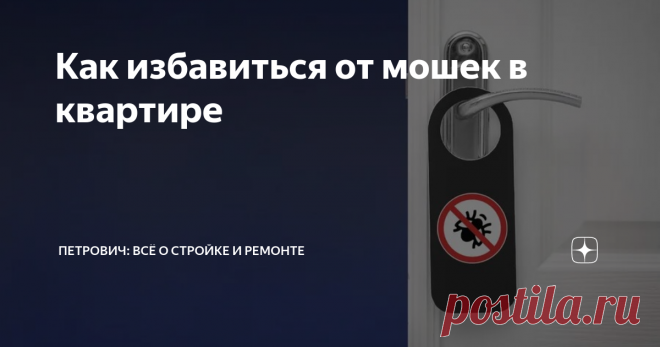 Как избавиться от мошек в квартире Статья автора «Петрович: всё о стройке и ремонте» в Дзене ✍: Надкушенное яблоко, оставленное вечером на кухне, уже утром окружает рой плодовых мошек?