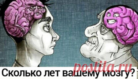 Тест: ваш мозг старше или моложе вашего настоящего возраста? — Бабушкины секреты