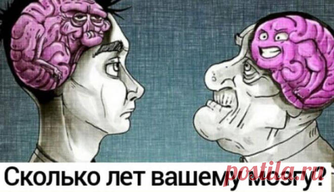 Тест: ваш мозг старше или моложе вашего настоящего возраста? — Бабушкины секреты