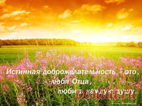 Истинная доброжелательность - это любя Отца, любить каждую душу.