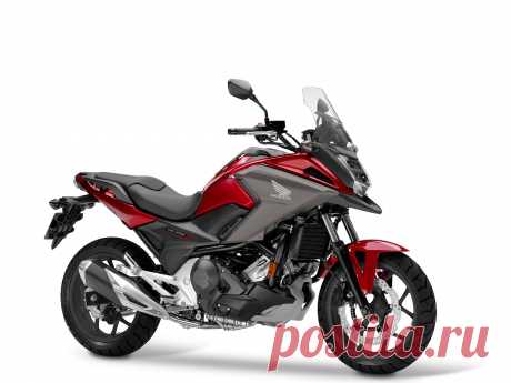 Honda Motor представила новые мотоциклы 2019 модельного года | motonews.ru | Яндекс Дзен