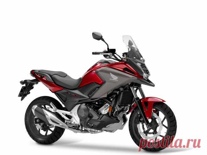 Honda Motor представила новые мотоциклы 2019 модельного года | motonews.ru | Яндекс Дзен