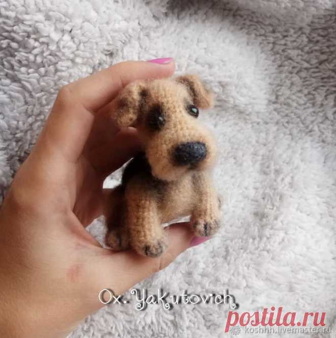 PDF Эрдельтерьер. FREE amigurumi crochet pattern. Бесплатный мастер-класс, схема описание для вязания амигуруми крючком. Игрушки своими руками! Собака, собачка, пёс, dog, puppy, cachorro, perro, cachorrinho, chien, hund, welpe, 子犬, 犬, pies. #амигуруми #amigurumi #amigurumidoll #amigurumipattern #freepattern #freecrochetpatterns #crochetpattern #crochetdoll #crochettutorial #patternsforcrochet #вязание #вязаниекрючком #handmadedoll #рукоделие #ручнаяработа #pattern #tutorial #häkeln #amigurumis