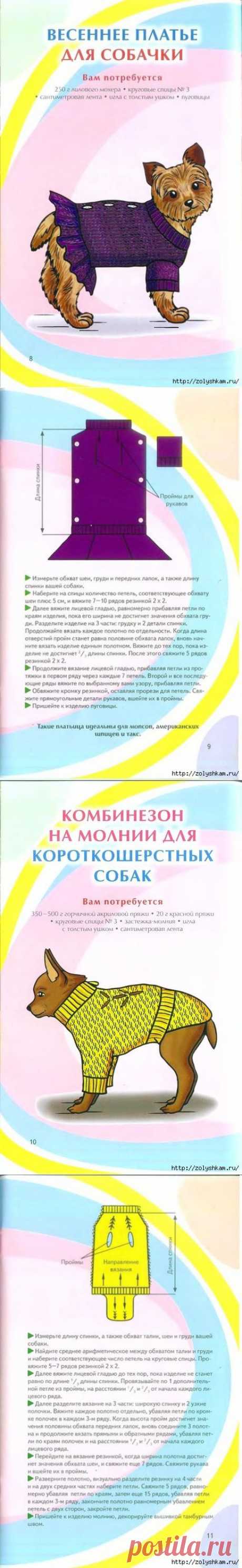 Вяжем одежду для питомцев.
