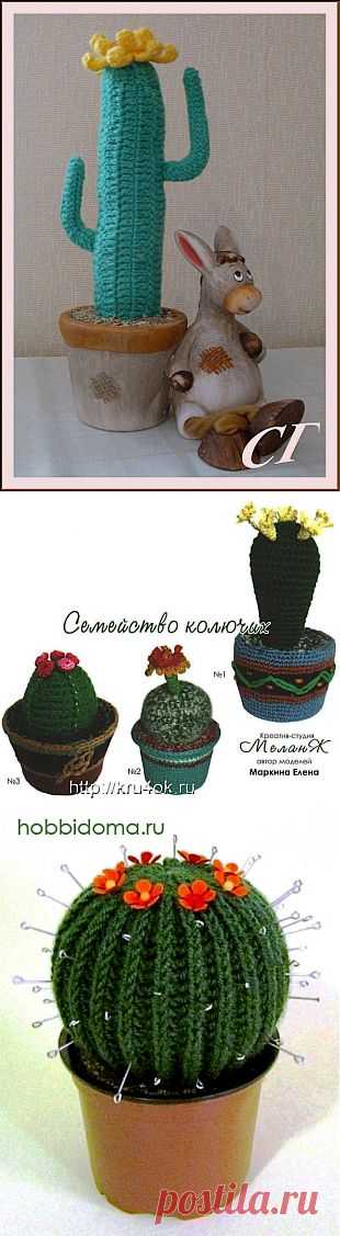 Вязаные кактусы .