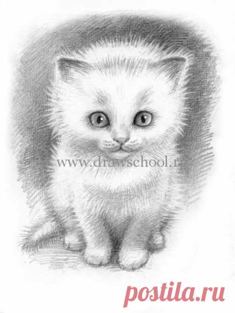 Рисуем простым карандашом милого котёнка
