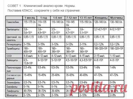 КЛИНИЧЕССКИЙ АНАЛИЗ КРОВИ - НОРМА