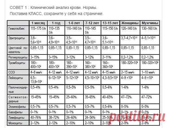 КЛИНИЧЕССКИЙ АНАЛИЗ КРОВИ - НОРМА