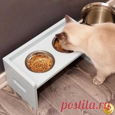 ​Деревянная кормушка для кота своими руками