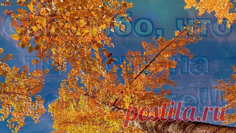 (60) Одноклассники
