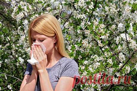 Аллерголог пояснил, какие продукты нельзя есть при аллергии на пыльцу | Bixol.Ru Белки пыльцы цветущих растений, которые вызывают аллергическую реакцию (ее называют поллинозом), могут присутствовать в некоторых фруктах и овощах, других | Доктор: 6835