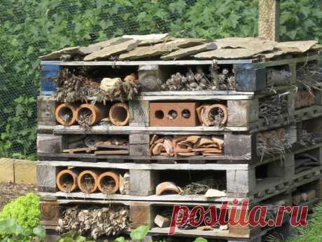 Bee Hive Journal - Help and advice for beekeepers