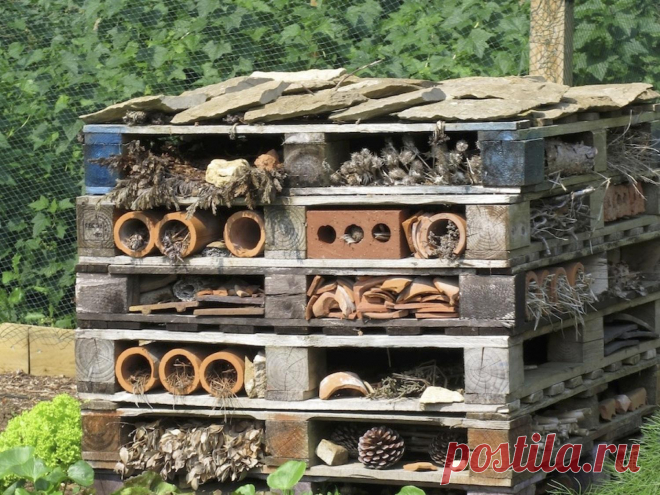 Bee Hive Journal - Help and advice for beekeepers