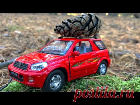 Toy Car Adventures - Toyota RAV4 Riding through the forest 완구 자동차 - YouTube