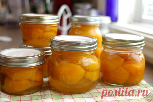 Что приготовить из абрикосов на зиму – самые лучшие домашние закатки | Статьи (Огород.ru)