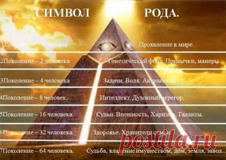 • 1-ое поколение - это мы сами. Это связь времен прошлого и будущего. 
• 2-ое поколение - это наши отец и мать. Ими закладываются проблемы выбора, наша социальная адаптация. Здесь же происходит закладка стереотипов общения с партнером. Именно родители создают условия проявлению (или непроявлению) наследственных заболеваний. 
• 3-ее поколение - две бабушки, два дедушки. Они передают нам свои способности и таланты, а также наследственные болезни.