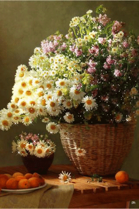 Живые фотографии – Google+