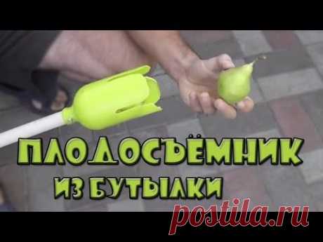 Плодосъемник для яблок и груш из пластиковой бутылки своими руками - YouTube