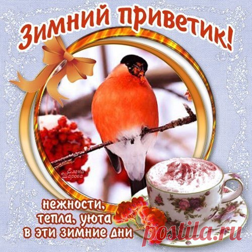 Новости
