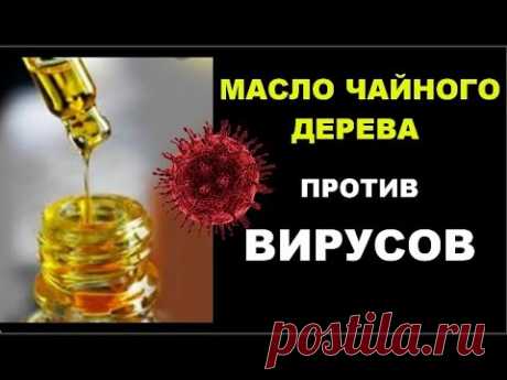 МАСЛО ЧАЙНОГО ДЕРЕВА против ВИРУСОВ