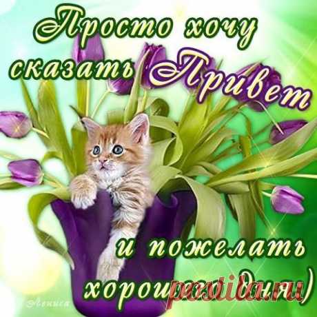 УДАЧНОГО ДНЯ!!!