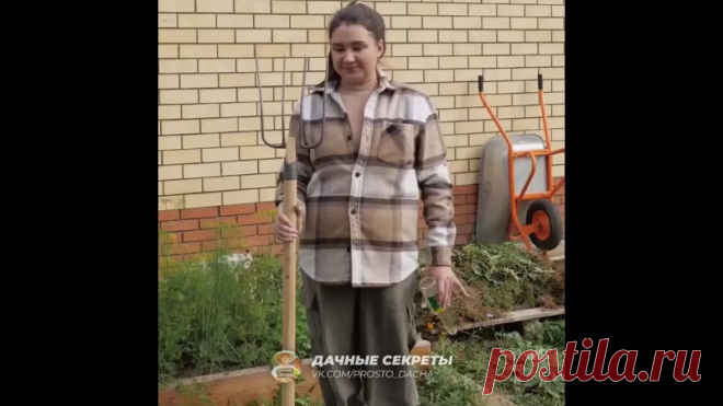 Я всё думаю, откуда у соседей по участку столько классных идей.
Оказывается, они подписаны на паблик: Дачные секреты

И вам советую подписаться