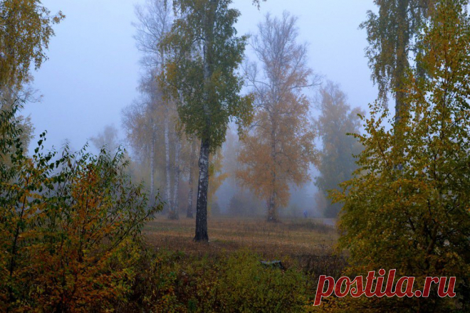 ФОТОМАСТЕРСКАЯ ПРИРОДЫ
Валентина Кобцева