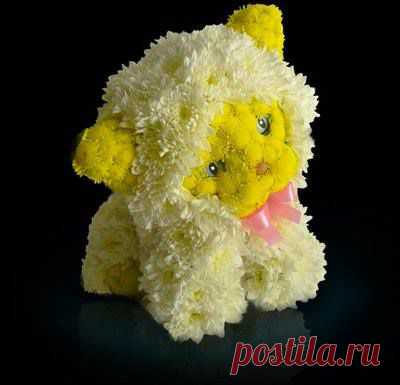 живые цветы