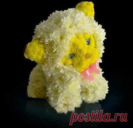 живые цветы