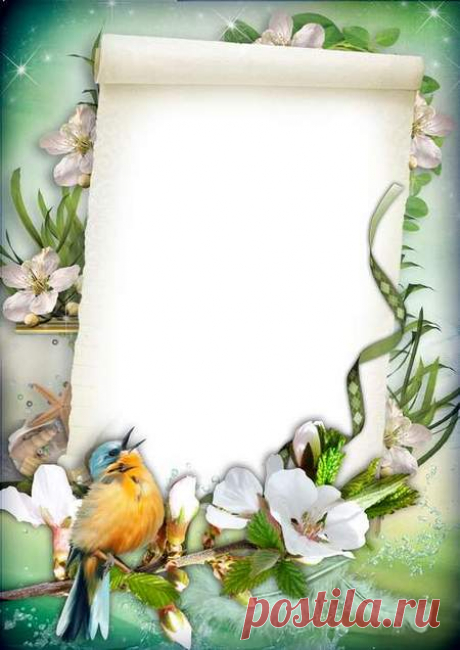 Free Photo frame template with bird download - free frame psd free frame png. Transparent PNG Frame, PSD Layered Photo frame template, Download.