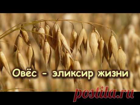 ЭЛИКСИР ЖИЗНИ — ПОДНИМЕТ НА НОГИ ДАЖЕ САМОГО ТЯЖЕЛОГО БОЛЬНОГО 

#ВЪДИ #Исторiя #Человъкъ #Образованiе #Питаніе #Растенія #Народъ #Книгi

Овес - эликсир жизни - поднимет на ноги даже самого тяжелого больного: решает многие проблемы со здоровьем и восстанавливает силы. 

Один из самых лучших рецептов для оздоровления. 
* Один стакан зерен овса (в крайнем случае "Геркулес") на пять стаканов воды, выварить до половины, до густоты жидкого киселя. 
* Процедить и влить в отвар р...