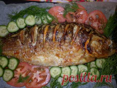 Карп в духовке – запекаем вкуснейшую рыбу