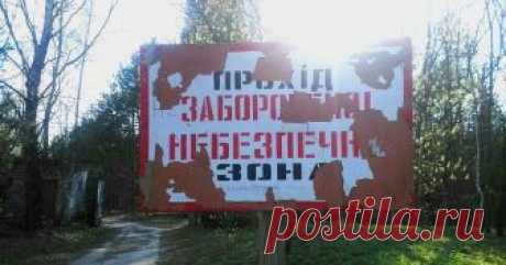 На ликвидации последствий катастрофы на Чернобыльской АЭС, произошедшей ровно 32 года назад, работали военные и гражданские специалисты со всего Советского Союза, статус ...