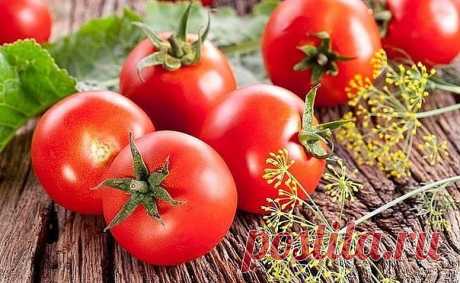 ВСЕ ЧТО НУЖНО ЗНАТЬ О ТОМАТАХ! 
!!!ШПАРГАЛКА НА ЛЕТО!!!
ДЕДОВСКИЙ РЕЦЕПТ ДЛЯ ТОМАТОВ

Этот полузабытый дедовский рецепт я выписала из старой газетной 
подшивки, но опробовать все не было времени. Решилась наконец в прошлом 
году.
Рецепт очень прост.
В трехлитровую банку заливаю 2,6-2,7 л воды без хлора (отстоянной), 
добавляю 100 г разведенных теплой водой дрожжей и 0,5 ст. сахара.
Накрыв марлей, держу банку в тепле, время от времени взбалтывая 
содержимое.
Раствор готов, ...