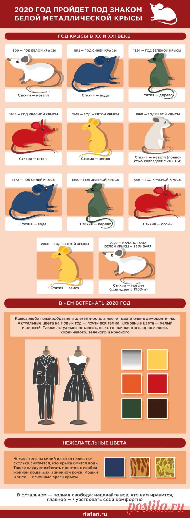 2020 год животного. 2020 какого животного по восточному. 2020 картинка. Годы зверей. 2020 каким будет этот год.