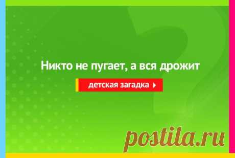Никто не пугает, а вся дрожит - Загадка
