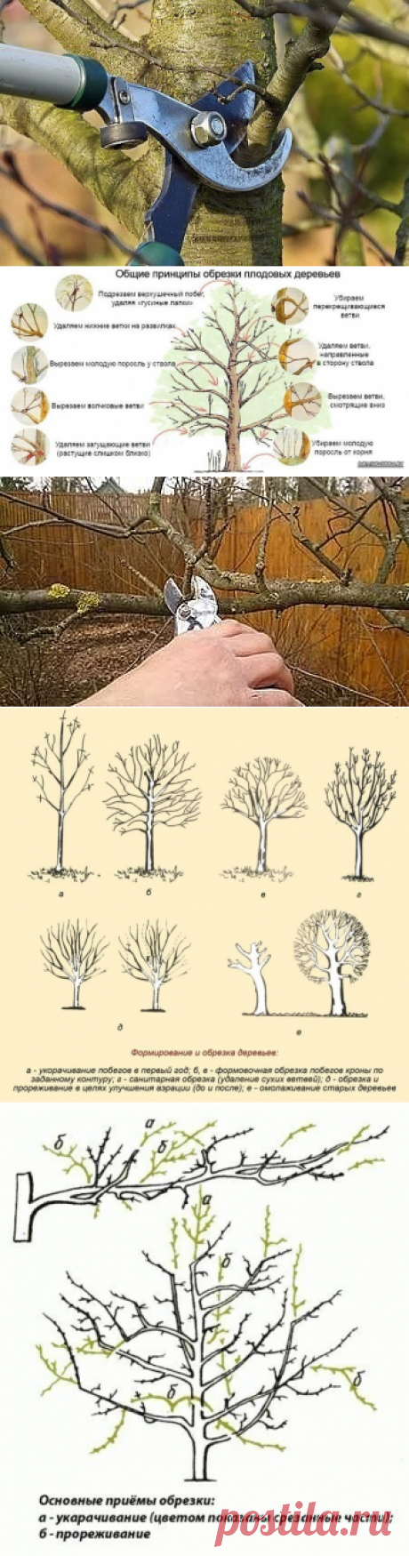 (82) Одноклассники