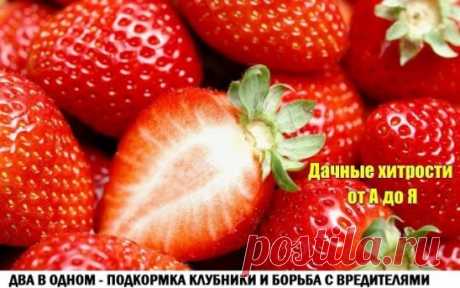 (53) Одноклассники