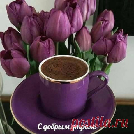 С ДОБРЫМ УТРОМ, ДРУЗЬЯ!
Прекрасного утра, чудесного
дня!
Сегодня хочу пожелать вам,
друзья!
Тепла и уюта побольше в
душе,
Удачи, везения всегда и
везде!
Здоровья покрепче хочу
пожелать,
Чтоб дом и работу смогли
совмещать,
Побольше улыбок, побольше
тепла,
Побольше того, что желает
душа!
Любите, дарите, творите
добро!
Ведь это для жизни важнее
всего!
