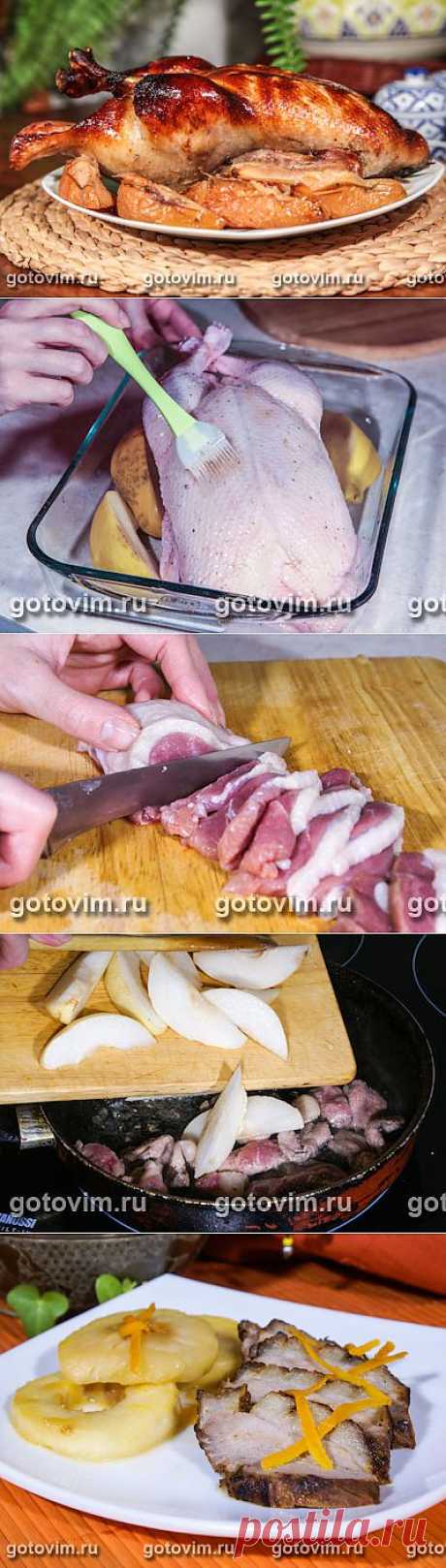 Рецепты приготовления блюд из утки 5