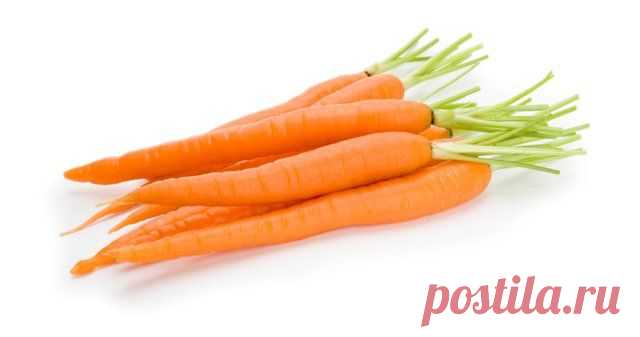 Полезные свойства морковки — Делимся советами