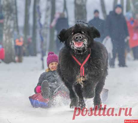 : Полёты на метле. Фотограф игорь перфильев. Спорт - Фото и фотограф на Расфокусе.